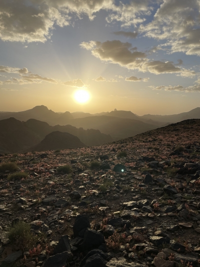 Tamanrasset