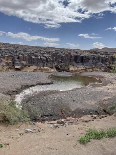 Tamanrasset