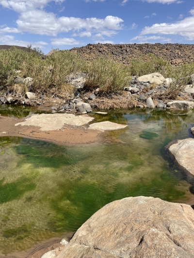 Tamanrasset