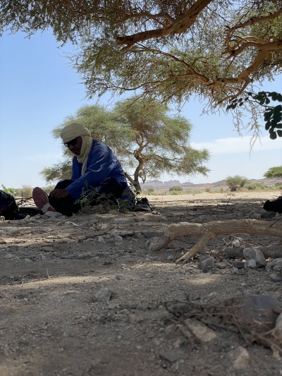 Tamanrasset