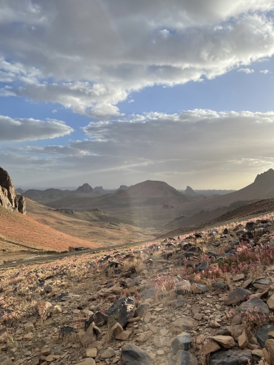 Tamanrasset